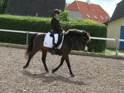 IMG_4844_web